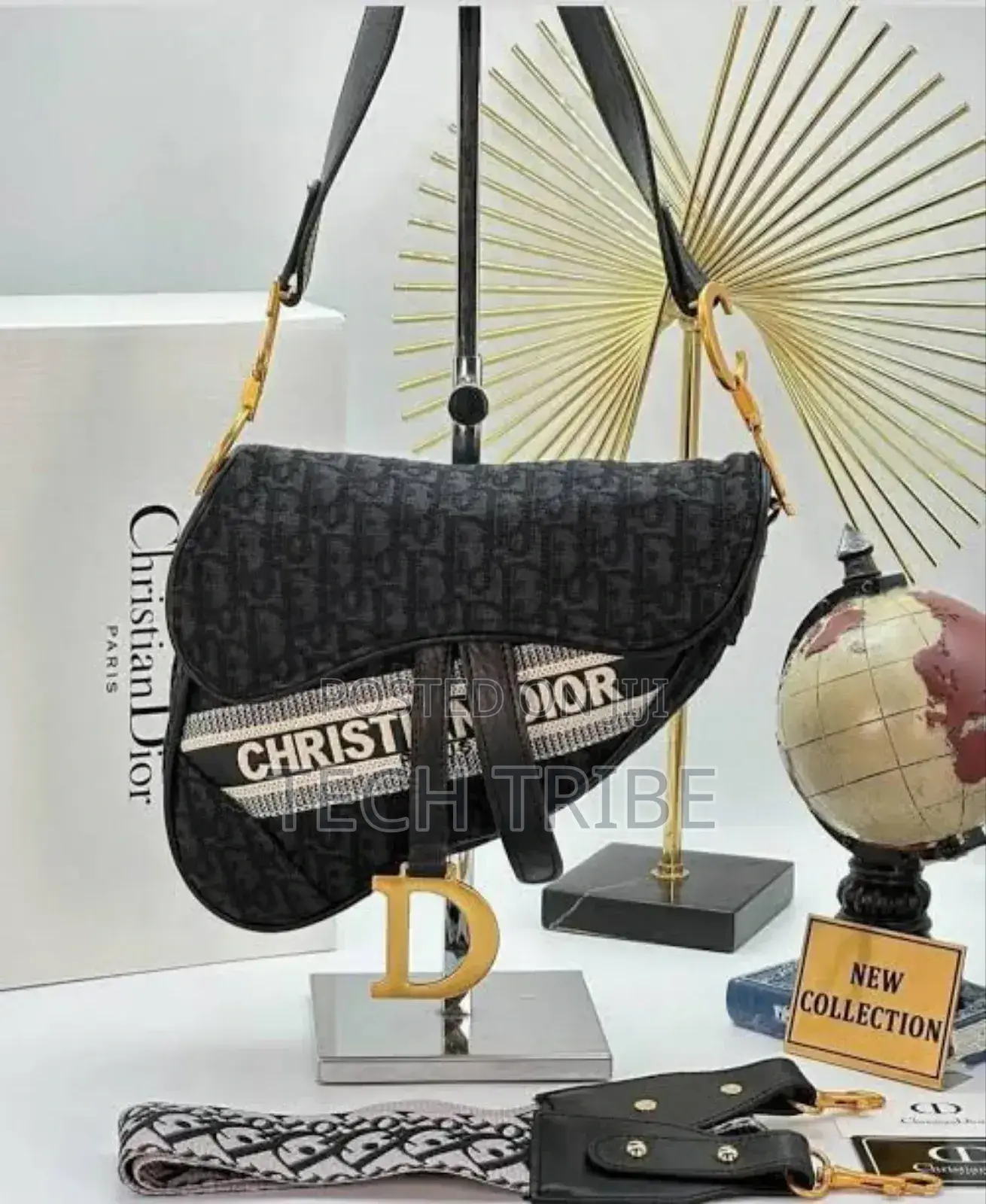 CHRISTIAN Dior Women's Handbag For Her With A Free Delivery