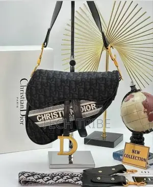 CHRISTIAN Dior Women's Handbag For Her With A Free Delivery