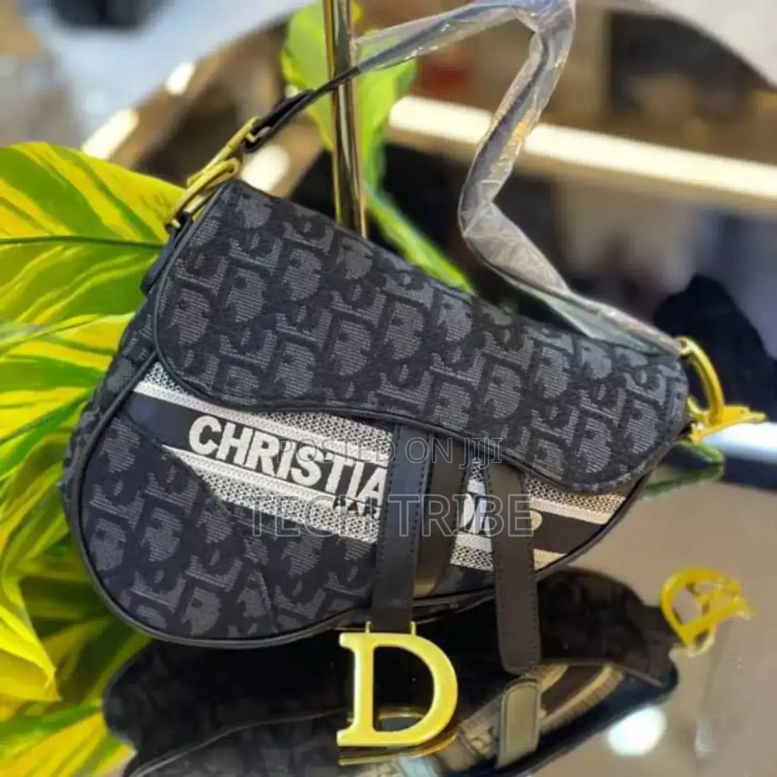 CHRISTIAN Dior Women's Handbag For Her With A Free Delivery