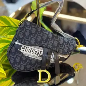 CHRISTIAN Dior Women's Handbag For Her With A Free Delivery