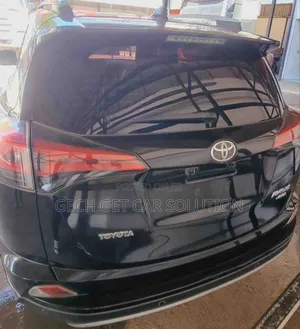 Toyota RAV4 2018 Brown