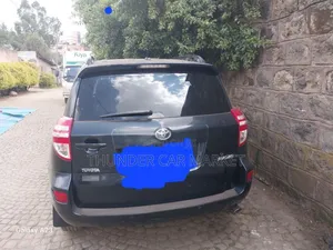 Toyota RAV4 2010 Gray