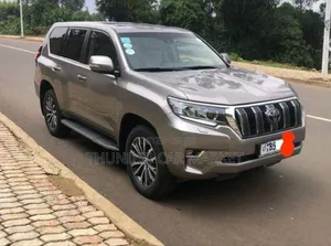 Toyota Land Cruiser Prado 2020 Gray