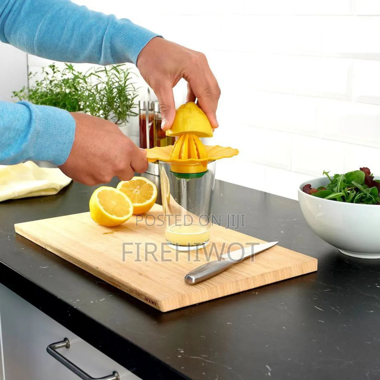 Lemon/Orange Squeezer