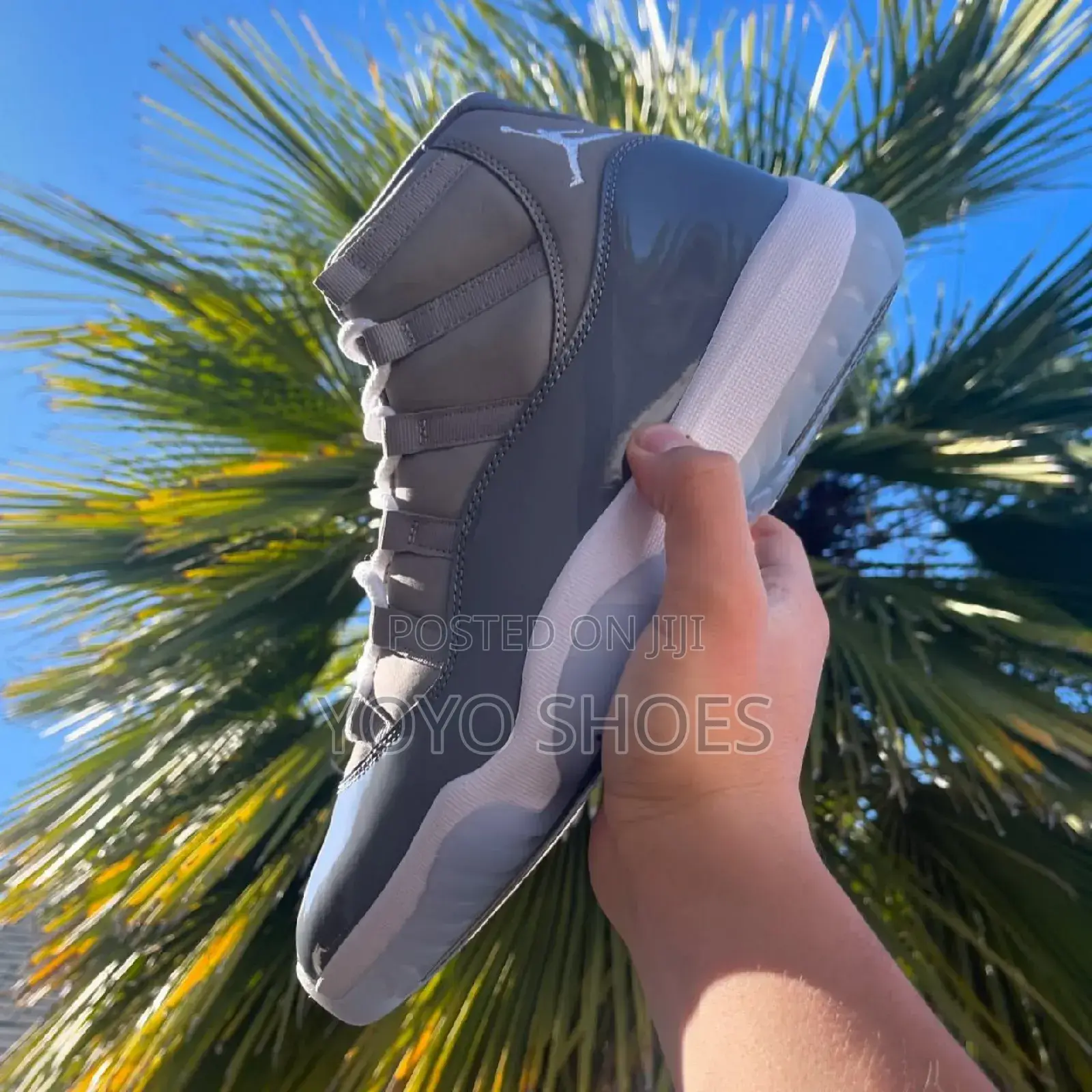 Air Jordan 11