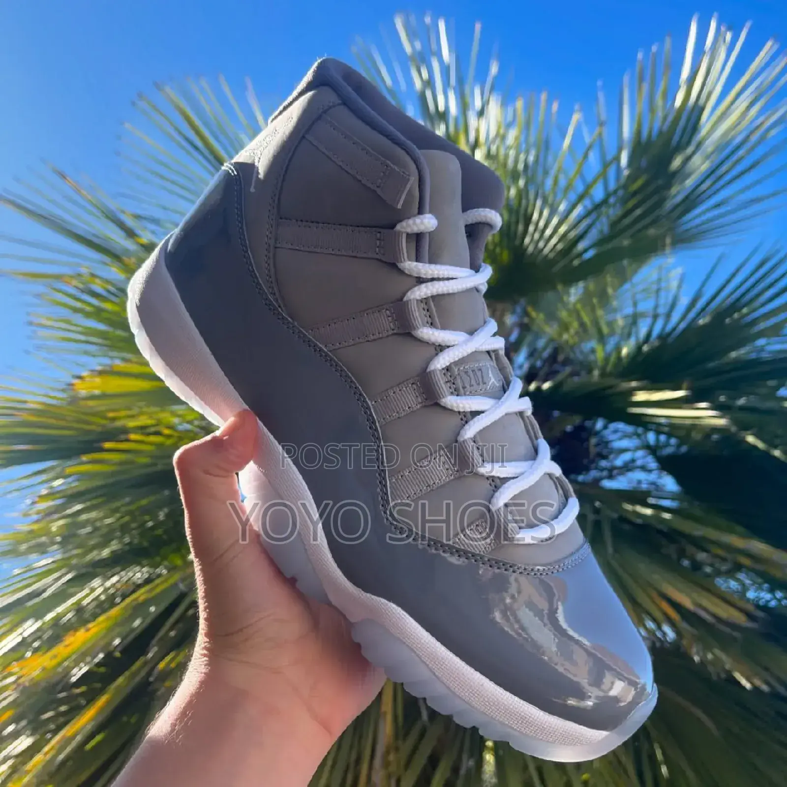 Air Jordan 11