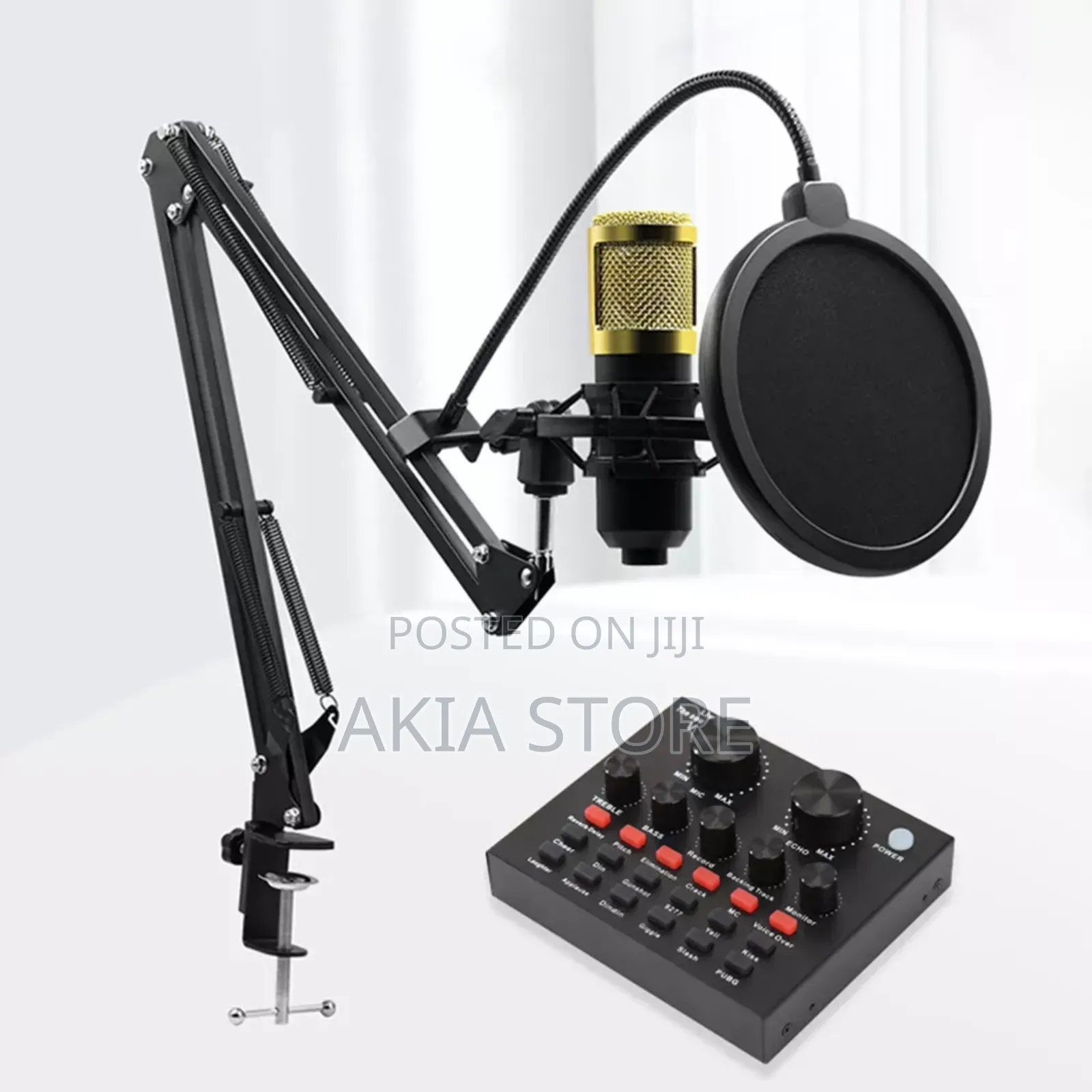 Professional Condenser Microphone