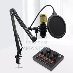 Professional Condenser Microphone