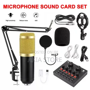 Professional Condenser Microphone