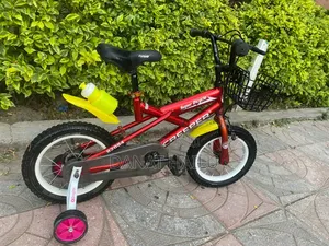 Bike for Your Son