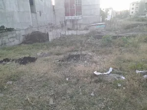 Photo - አስቸካይ የሚሸጥ ባታ