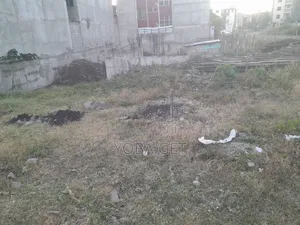 አስቸካይ የሚሸጥ ባታ