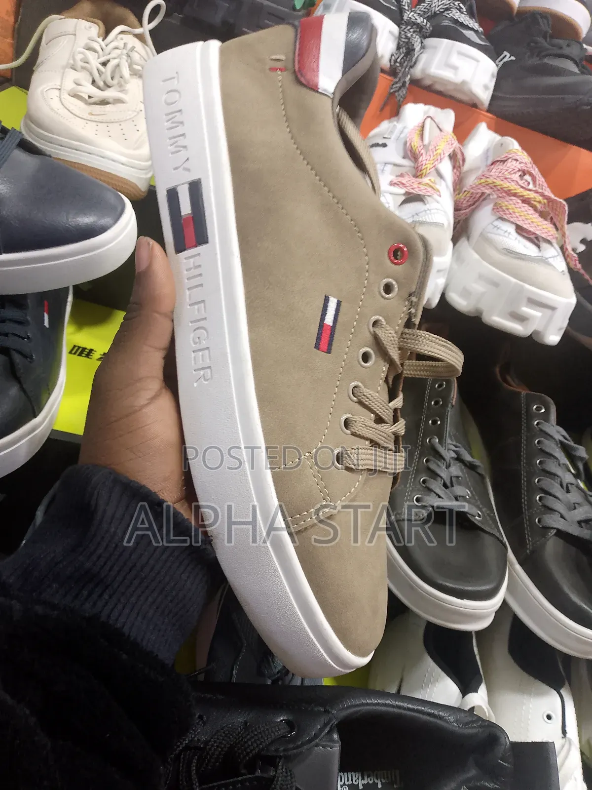 Tommy Gray Master Quality Shoes for You