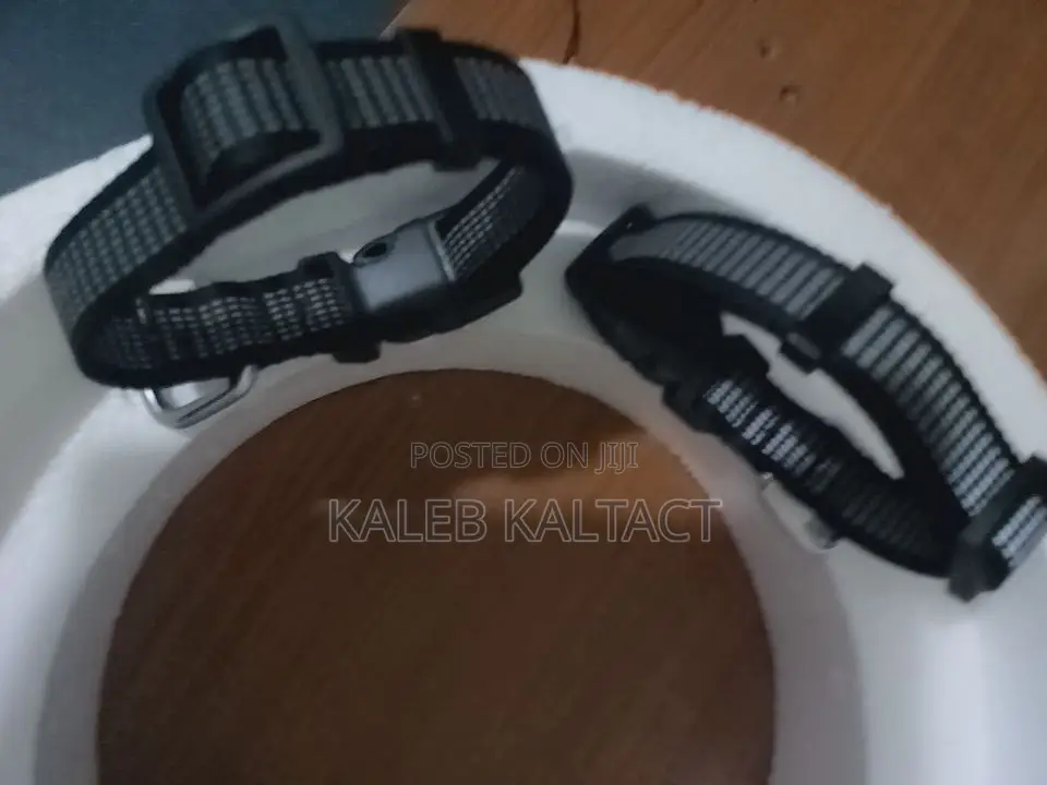 Reflective Complete Leash and Collars for Puppies