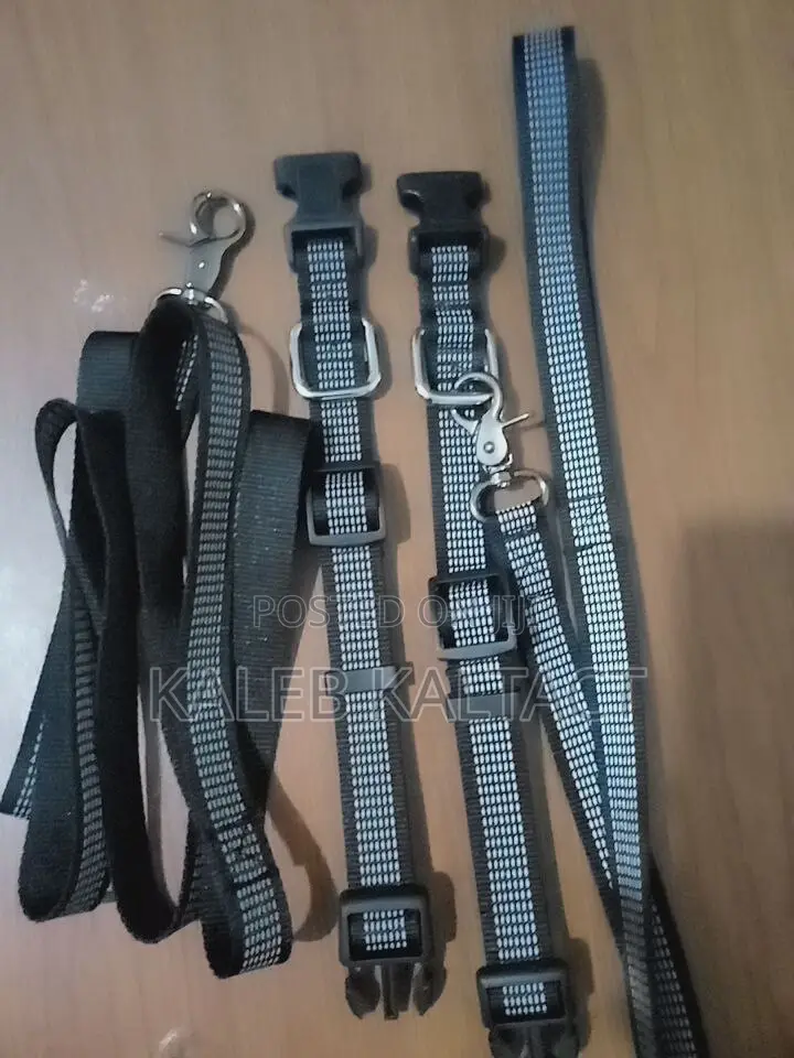 Reflective Complete Leash and Collars for Puppies