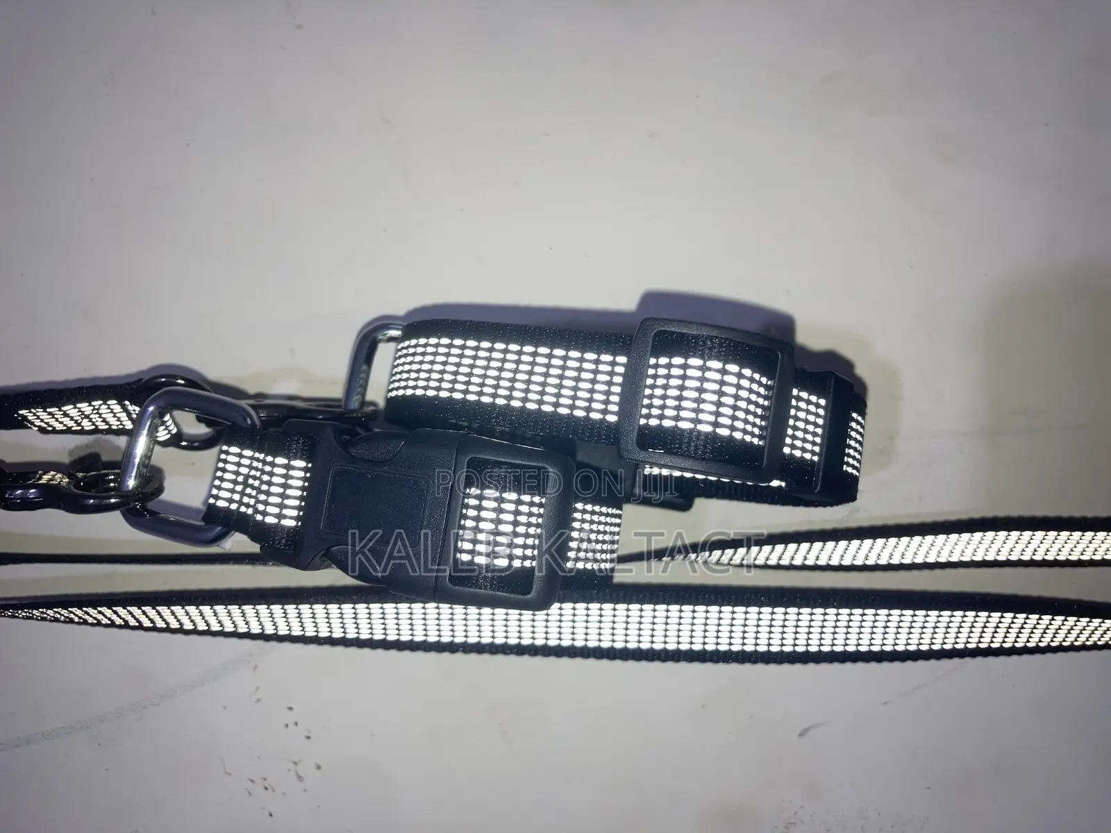 Reflective Complete Leash and Collars for Puppies