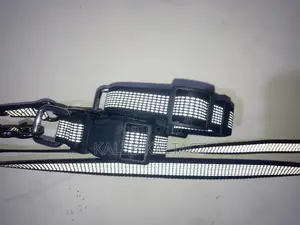 Reflective Complete Leash and Collars for Puppies