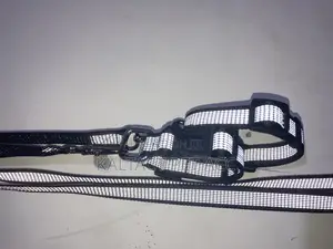 Reflective Complete Leash and Collars for Puppies