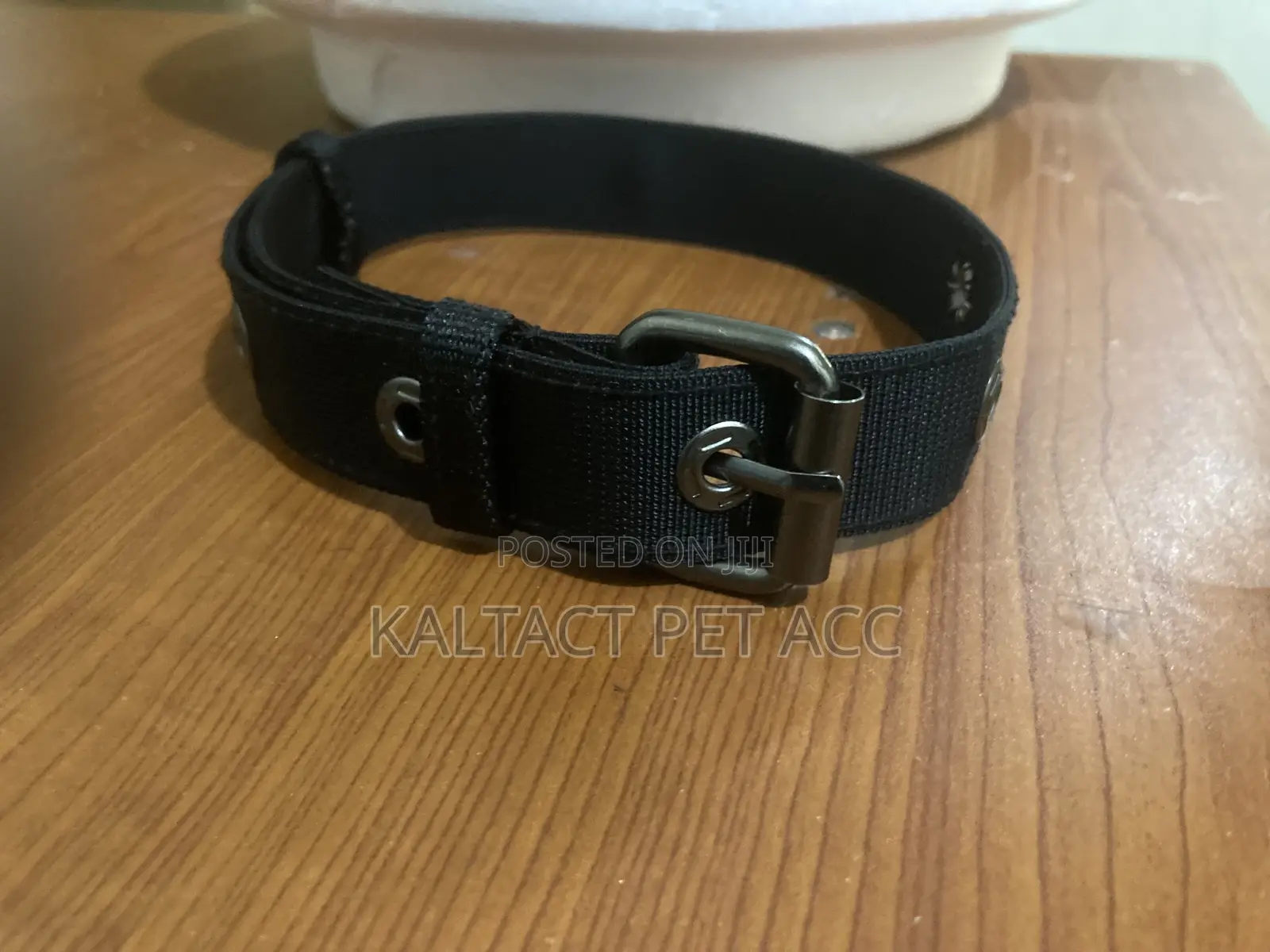 Adjustable Metal Buckled Dog Collars