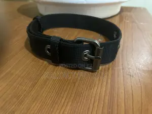 Adjustable Metal Buckled Dog Collars