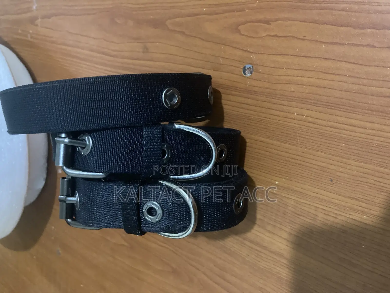 Adjustable Metal Buckled Dog Collars