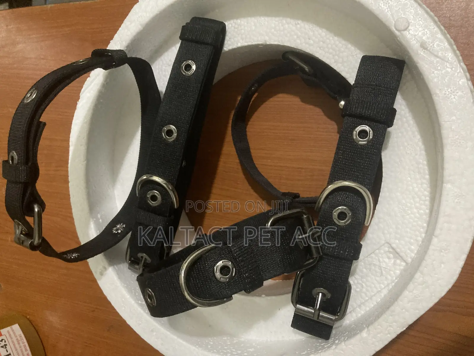 Adjustable Metal Buckled Dog Collars