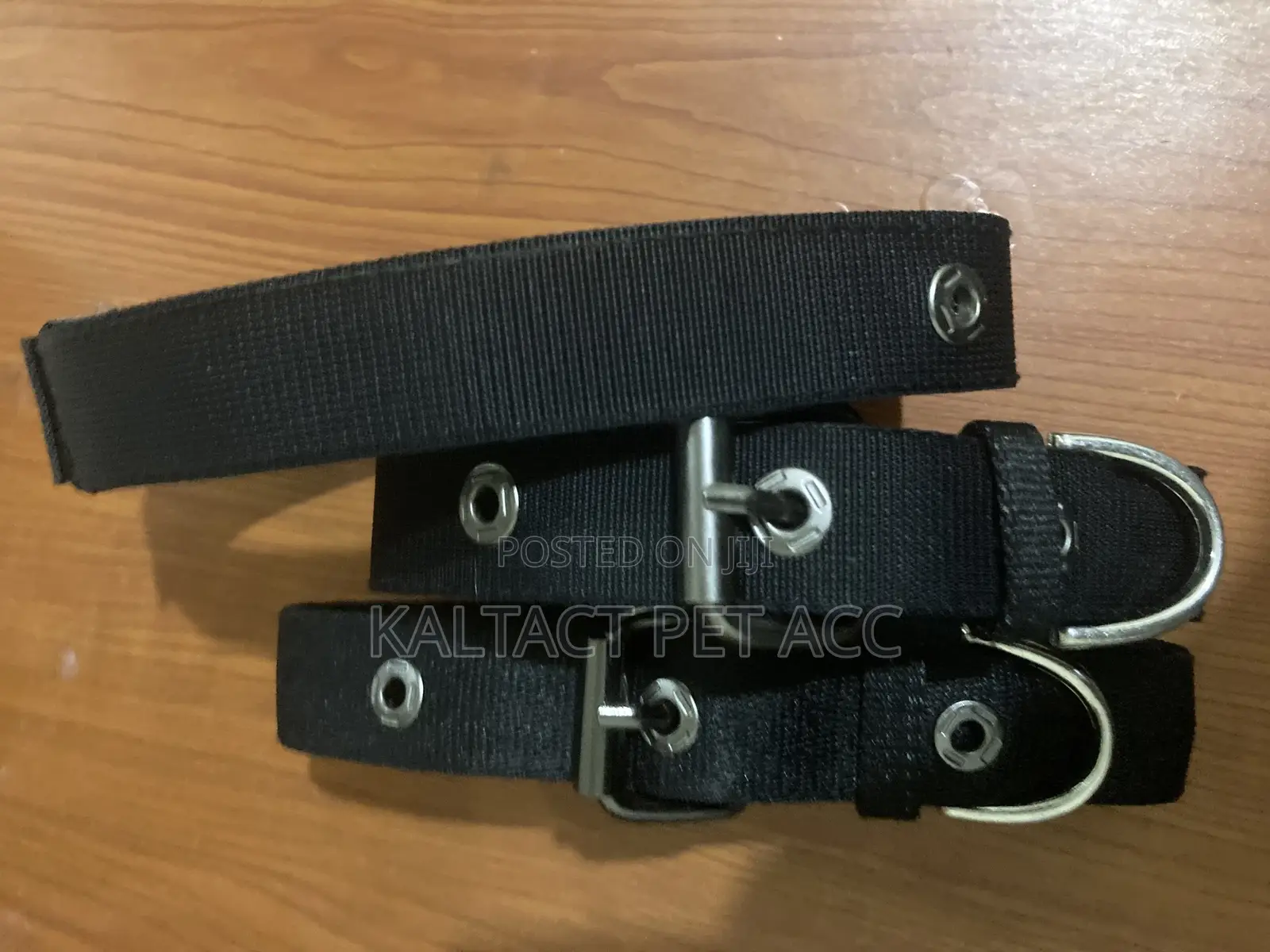 Adjustable Metal Buckled Dog Collars