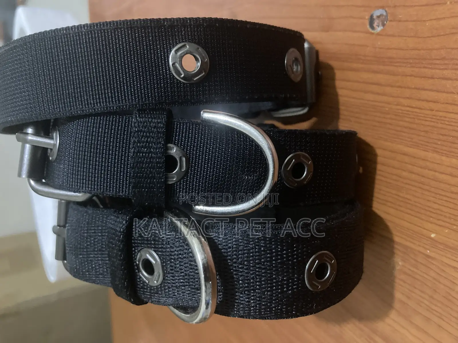 Adjustable Metal Buckled Dog Collars