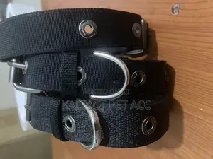 Adjustable Metal Buckled Dog Collars