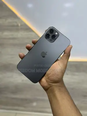 Apple iPhone 12 Pro Max 128 GB Black