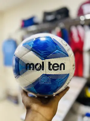 Photo - Molten 490 Blue Ball
