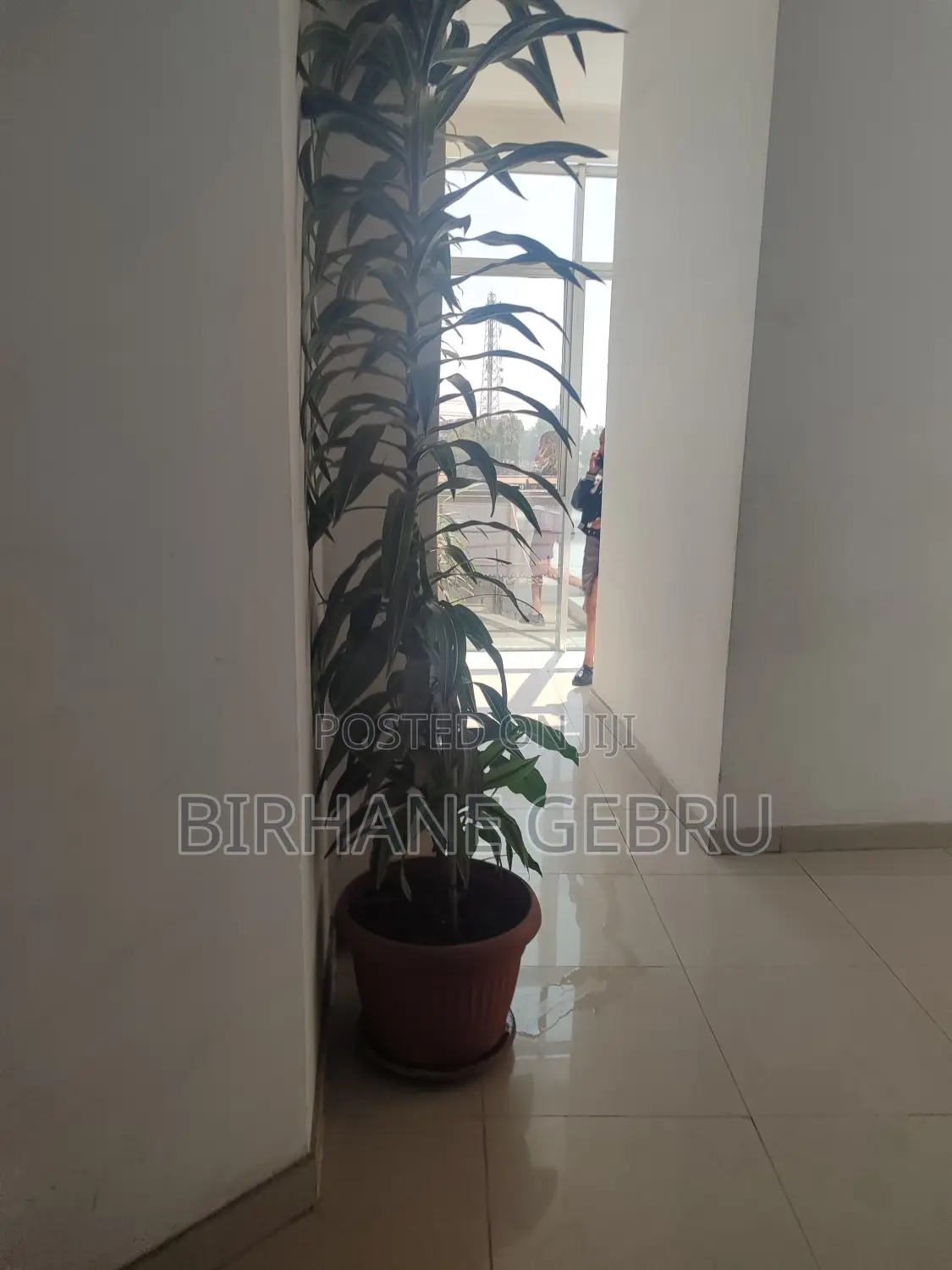 Studio Apartment for Rent