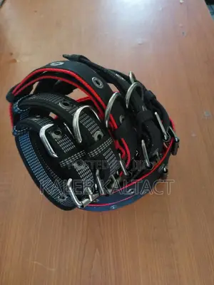 Metal Buckled Adjustable Dog Collars