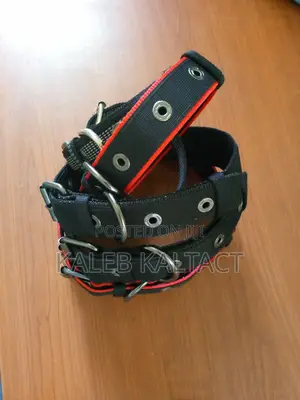 Metal Buckled Adjustable Dog Collars