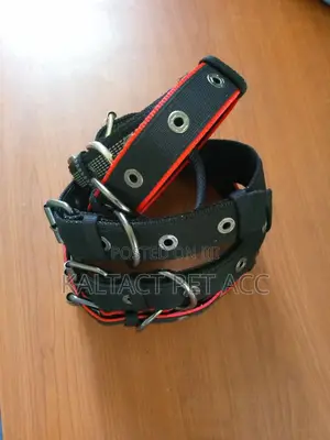 Metal Buckled Adjustable Dog Collars