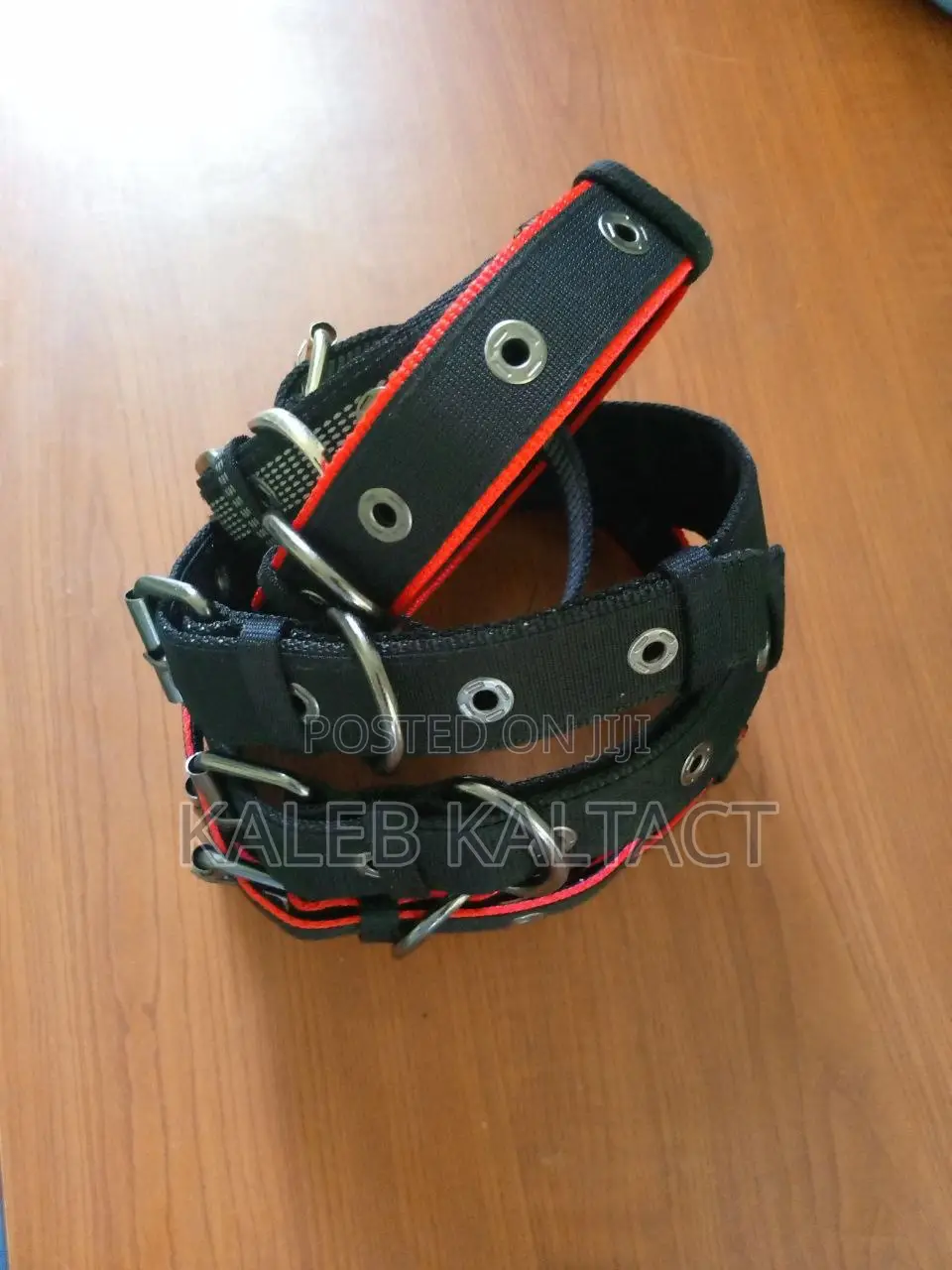 Metal Buckled Adjustable Dog Collars
