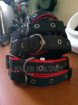 Metal Buckled Adjustable Dog Collars