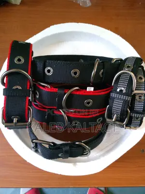 Metal Buckled Adjustable Dog Collars