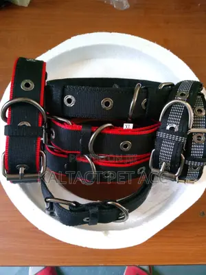 Metal Buckled Adjustable Dog Collars