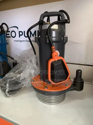Photo - Leo Submersible 1hp