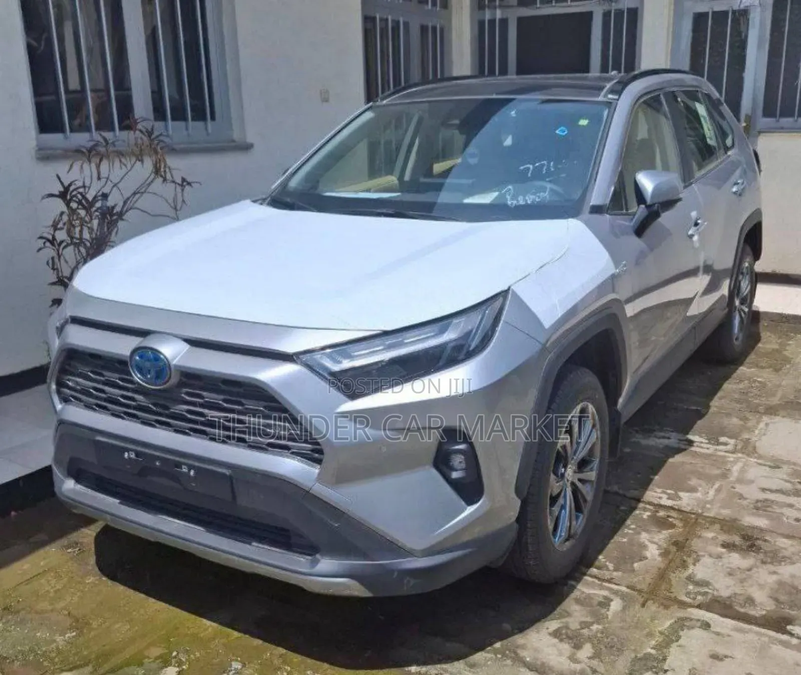 New Toyota RAV4 2024 Gray