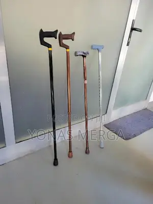 Photo - Walking Stick