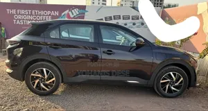 Hozon Neta U 2023 White