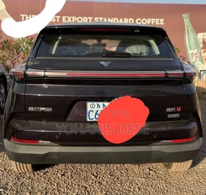 Hozon Neta U 2023 White