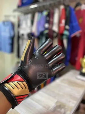 Photo - Football Goalkeeper 1