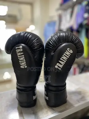 Photo - Boxing Fighter Gloves