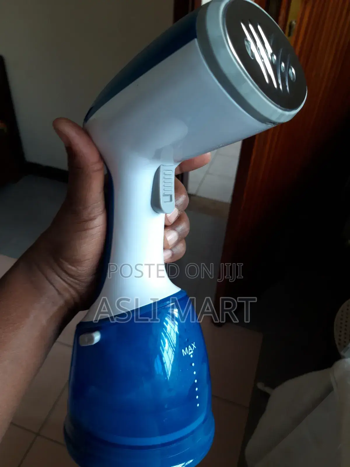Handheld Garment Steamer