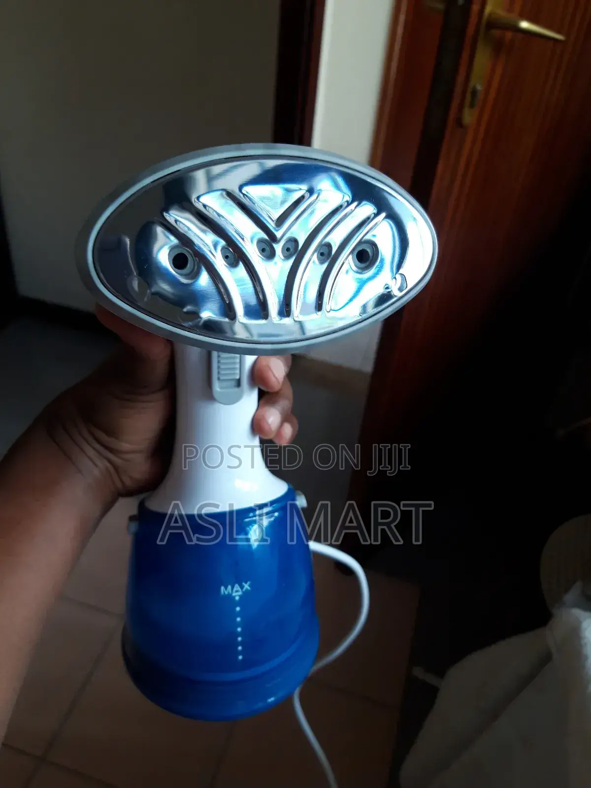 Handheld Garment Steamer