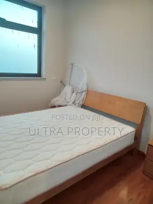 Furnished 3bdrm Apartment in Bole for rent