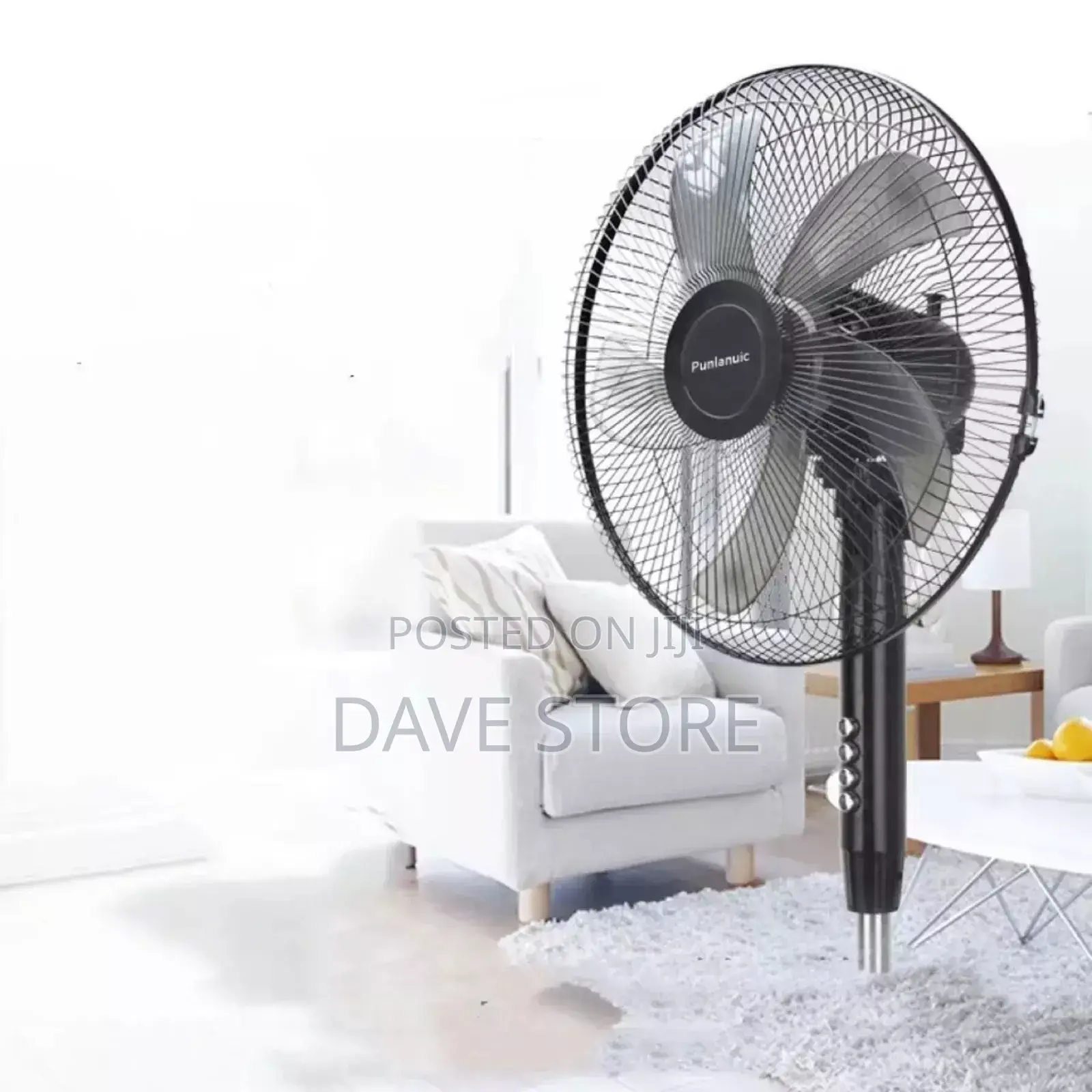 Standing Fan